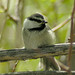William Nuttall Photo 29