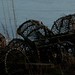 Mark Creel Photo 30