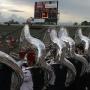 Chris Mccrary Photo 24