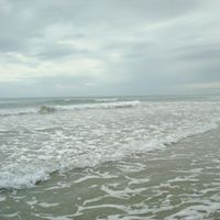 Dat Ha Photo 7