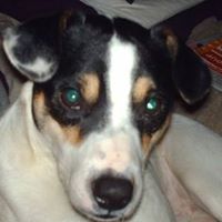 Terry Eastham Photo 3