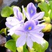 Sue Berg Photo 34