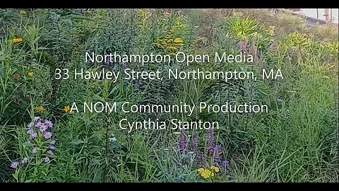 Cynthia Stanton Photo 15
