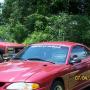 Mike Spaulding Photo 29