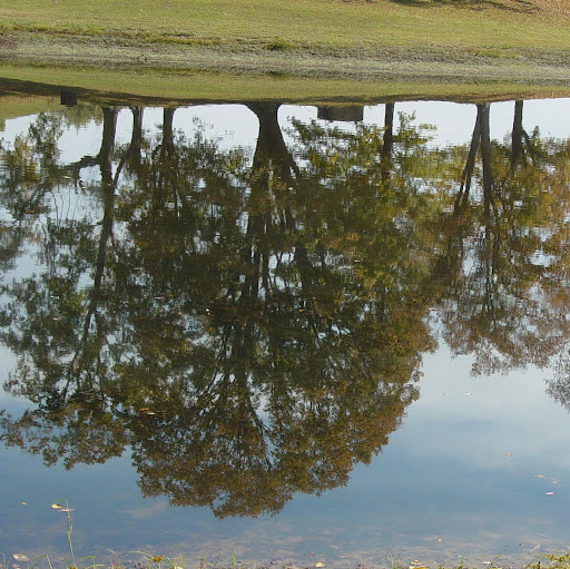 Harold Cowden Photo 2