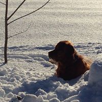 Stephanie Lachance Photo 5