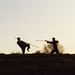Chin Fu Photo 20