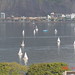 Linda Baia Photo 14