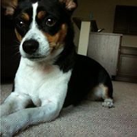 Bella Johnson Photo 3