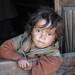 Janis Hunt Photo 31