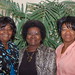 Tanya Jennings Photo 36