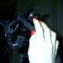 Kathy Mcclung Photo 18