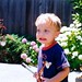 Adam Chestnut Photo 26