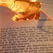 Autumn Bradbury Photo 15