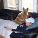 Jason Jager Photo 37