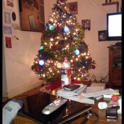 Rebecca Hagelin Photo 2