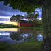 Michael Tannery Photo 11