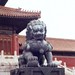 Ming Fu Photo 29