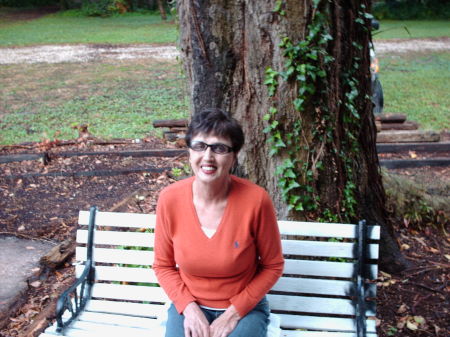 Ann Floyd Photo 14