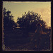 Lidia Luna Photo 34
