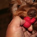 Frank Kong Photo 31