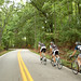 Toby Blackwell Photo 20