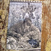 Kathy Hill Photo 42