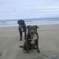 Zachary Davies Photo 7