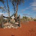 Michael Tobin Photo 50