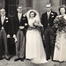 Susan Hobbs Photo 43