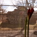 Gregory Sayre Photo 11