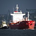 Clyde Goings Photo 8
