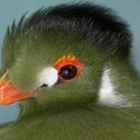 Perry Prince Photo 3
