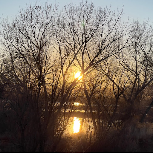 Forrest Evans Photo 11