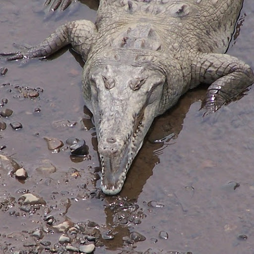 Edmond Smith Photo 14