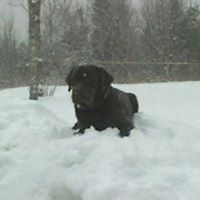 Lisa Demars Photo 8