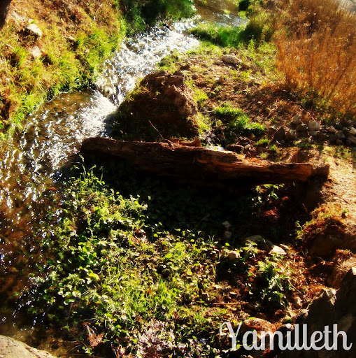 Yamil Gonzalez Photo 15