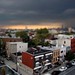 Adam Lerner Photo 36