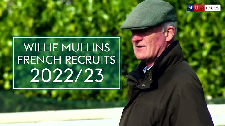 Willie Mullins Photo 31