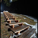 Sandro Martins Photo 35