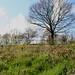 James Nettles Photo 39