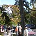 Susan Berryman Photo 31