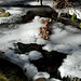 William Rothrock Photo 31
