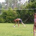 Jessica Holliday Photo 41