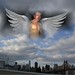 Edward Auger Photo 18