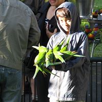 Sean Dolan Photo 2