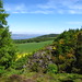 Craig Black Photo 49