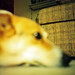 Emily Hollingsworth Photo 41