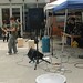 Michael Ragsdale Photo 42