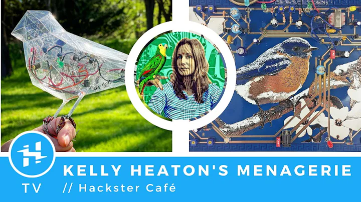 Kelly Heaton Photo 33